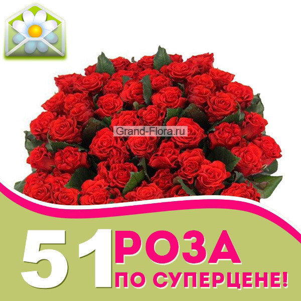 51 роза по Акции
